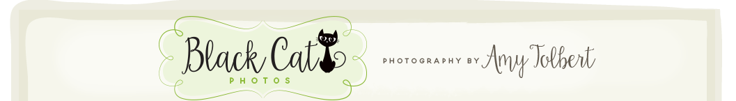 Black Cat Photos logo